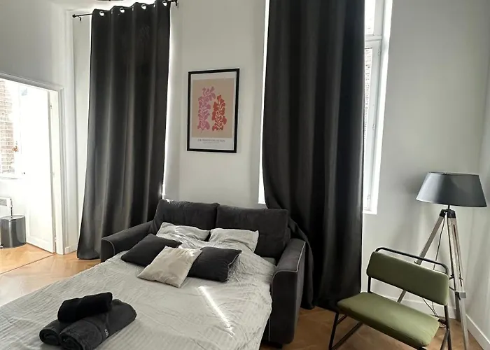 Spacieux Appt Haussmannien Parking Prive Амьен